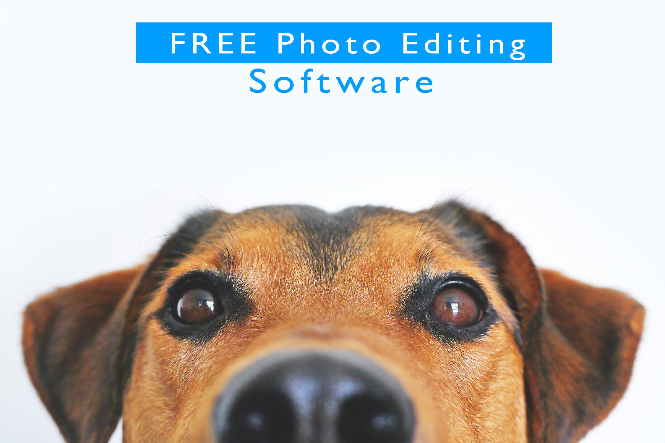 free photo editing software